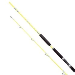 Boat Rod Shimano TEREZ SILURUS