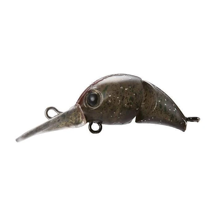 Hard Lure Shimano CARDIFF CHIBITORO F - 2.5cm 7 Hard Lure Shimano CARDIFF CHIBITORO F - 2.5cm - Image 5