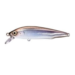 Hard Lure Shimano CARDIFF FLUGEL FLAT - 7cm 27 Hard Lure Shimano CARDIFF FLUGEL FLAT - 7cm -Shimano Shop hard lure shimano cardiff flugel flat 7cm image 64749d7db081c 800x800