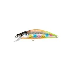 Hard Lure Shimano CARDIFF FOLLETTA SS - 5cm 39 Hard Lure Shimano CARDIFF FOLLETTA SS - 5cm -Shimano Shop hard lure shimano cardiff folletta ss 5 cm image 5f7483b116bbc 800x800