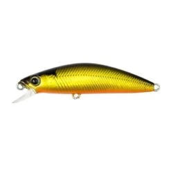 Hard Lure Shimano CARDIFF FOLLETTA SS - 5cm 35 Hard Lure Shimano CARDIFF FOLLETTA SS - 5cm -Shimano Shop hard lure shimano cardiff folletta ss 5cm image 623ac81f11e71 800x800