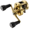 Shimano Calcutta Conquest MD Baitcasting Reels -Shimano Shop shimano calcutta conquest md baitcasting reels 10126.1674255439