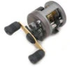 Shimano Corvalus Baitcasting Reels -Shimano Shop shimano corvalus reels 62296.1650936993