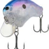 Shimano Macbeth Shallow 50F Crankbait -Shimano Shop shimano macbeth shallow 50f crankbait 54538.1651445672.386.513