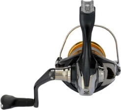 Shimano Sahara FJ Spinning Reels -Shimano Shop shimano sahara fj spinning reels 83307.1651444121