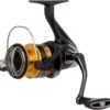 Shimano Sahara FJ Spinning Reels -Shimano Shop shimano sahara fj spinning reels 95048.1651444119