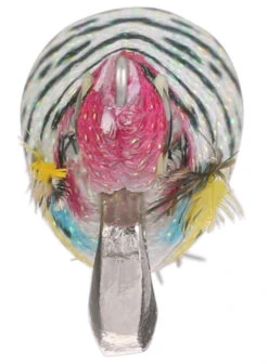 Shimano Sephia Clinch Squid Jigs -Shimano Shop shimano sephia clinch squid jigs 88180.1678982091