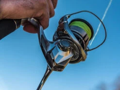 Shimano Stradic FL Spinning Reels -Shimano Shop shimano stradic fl spinning reels 33628.1651246853
