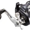 Shimano Tekota Levelwind Conventional Reels 2 Shimano Tekota Levelwind Conventional Reels -Shimano Shop shimano tekota levelwind reels 21217.1651006805