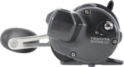 Shimano Tekota Levelwind Conventional Reels -Shimano Shop shimano tekota levelwind reels 26874.1651006806