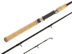 Shimano Teramar Inshore Southeast Casting And Spinning Rods 7 Shimano Teramar Inshore Southeast Casting And Spinning Rods -Shimano Shop shimano teramar southeast fishing rods 71796.1651006809
