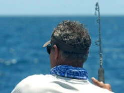 Shimano Terez Spinning Rods -Shimano Shop shimano terez spinning fishing rods 44313.1651006832