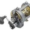 Shimano Tyrnos 2-Speed Reels -Shimano Shop shimano tyrnos 2 speed reels 07599.1671550260