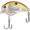 Shimano World Rush Square Bill Crankbait 2 Shimano World Rush Square Bill Crankbait -Shimano Shop shimano world rush square bill crankbait 05009.1678982279