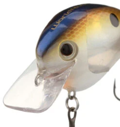 Shimano World Rush Square Bill Crankbait -Shimano Shop shimano world rush square bill crankbait 27138.1678982280