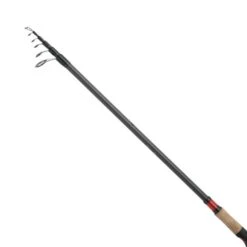Spinning Rod Shimano CATANA CX TELESPIN