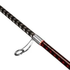 Squid Rod Shimano SEPHIA BB R -Shimano Shop squid rod shimano sephia bb r image 5f74bb54090de 800x800