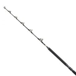 Trolling Rod Shimano TYRNOS A STAND UP -Shimano Shop trolling rod shimano tyrnos a stand up image 5f74902056864 800x800